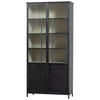 VITRINE in Schwarz  - Schwarz, Design, Glas/Metall (96/200/40cm) - Livetastic
