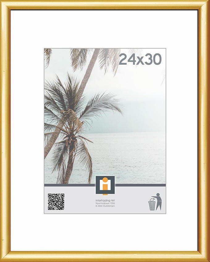 RÁM NA OBRAZY, 1 foto 24 cm x 30 cm - zlatá, Basics, plast/sklo (24/30cm)