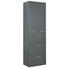 HOCHSCHRANK 60/178.7/34.8 cm - Chromfarben/Anthrazit, Design, Glas/Holzwerkstoff (60/178.7/34.8cm) - Welnova HOCHSCHRANK 60/178.7/34.8 cm - Chromfarben/Anthrazit, Design, Glas/Holzwerkstoff (60/178.7/34.8cm) - Welnova