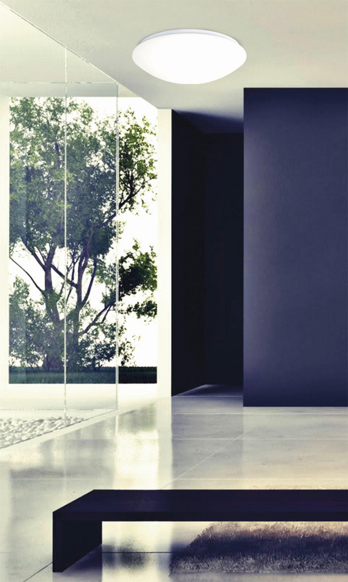 LED-DECKENLEUCHTE 35/11 cm   - Weiß, Basics, Kunststoff/Metall (35/11cm) - Näve