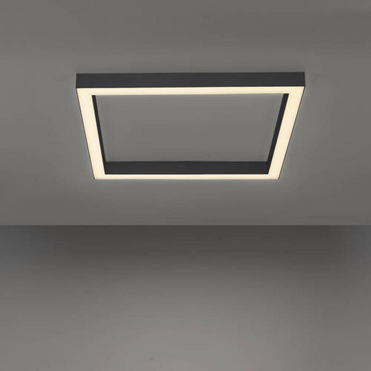STROPNÍ LED SVÍTIDLO, 55/55/3,9 cm - antracitová, Design, kov/plast (55/55/3,9cm)