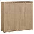 SCHUHSCHRANK 109,2/99,1/34,9 cm  - Eichefarben/Grau, MODERN, Holzwerkstoff/Kunststoff (109,2/99,1/34,9cm) - Carryhome