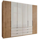 FALTTÜRENSCHRANK 250/236/58 cm 4-türig Champagner, Eiche Bianco  - Schieferfarben/Eiche Bianco, KONVENTIONELL, Glas/Holzwerkstoff (250/236/58cm) - Dieter Knoll