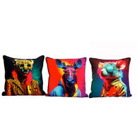 VANKÚŠ,  - Basics (45/45/15cm)