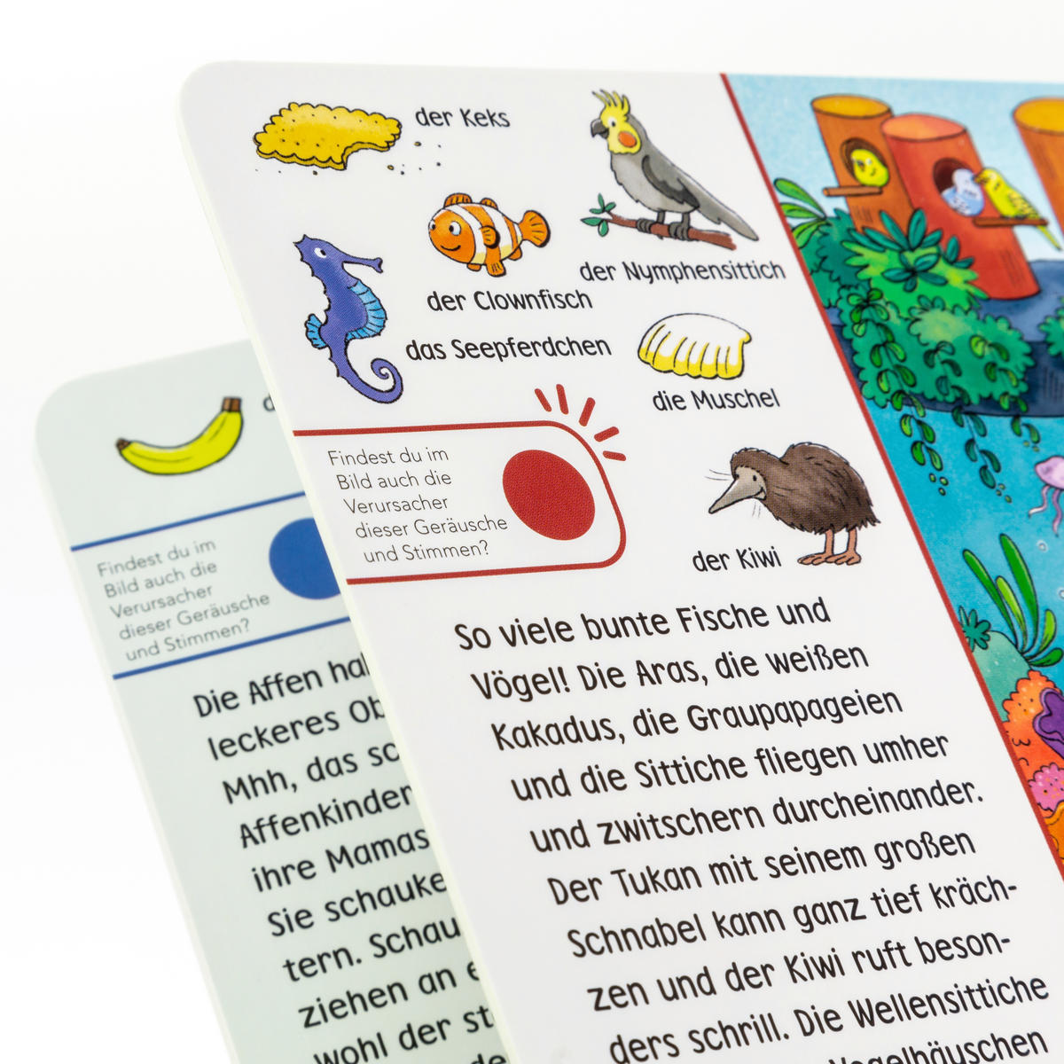 WIMMELBUCH - Basics (17,8/17,9/1,9cm) - Carlsen