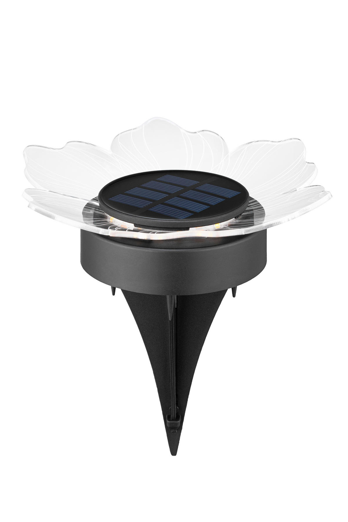 SOLARLEUCHTENSET Lisianthus 14/14 cm  - Transparent/Schwarz, Design, Kunststoff (14/14cm) - Ambia Garden