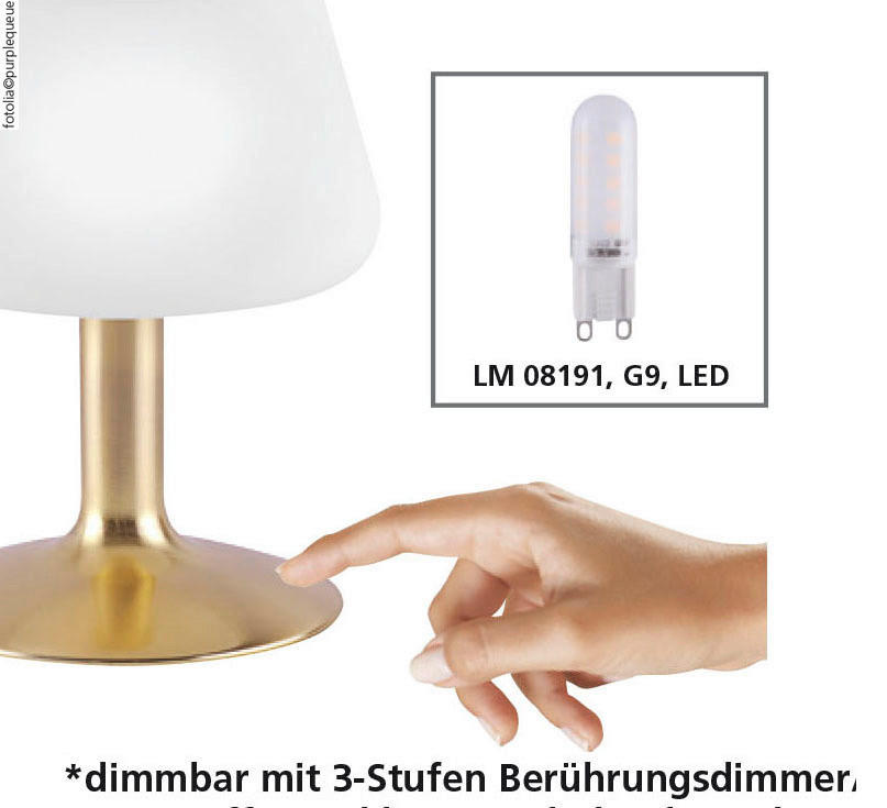 Paul Neuhaus LED-TISCHLEUCHTE Till 15/15/20 cm jetzt nur online ➤