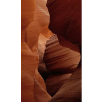 BILD Landschaft & Natur 70/118 cm  - Rotbraun, Design, Metall (70/118cm)