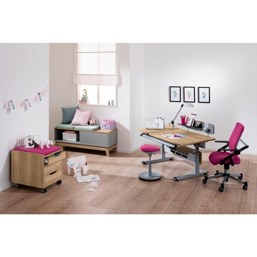 Thumbnail - Paidi Jugendschreibtisch, Silber, Eiche, Holzwerkstoff, rechteckig, eckig, Kufe, 70x53-79x130 cm, Blauer Engel, Goldenes...