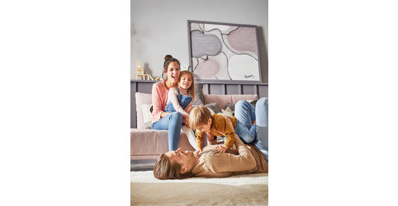 RÉCAMIERE  in Flachgewebe Hellrosa  - Hellrosa/Schwarz, Design, Textil/Metall (225/80/98cm) - Dieter Knoll