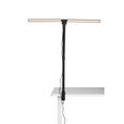 LED-KLEMMLEUCHTE 80/35/71,5 cm   - Schwarz, Basics, Kunststoff/Metall (80/35/71,5cm) - Novel
