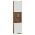 VITRINE in furniert, massiv Wildeiche Weiß, Wildeiche  - Wildeiche/Silberfarben, Design, Glas/Holz (50/204/40cm) - Waldwelt