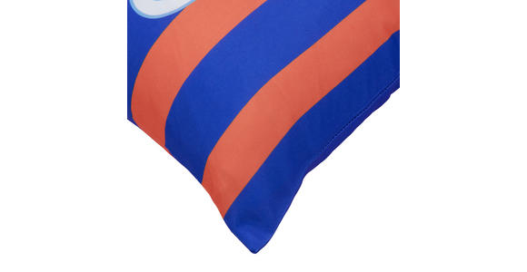 ZIERKISSEN  40/60 cm   - Multicolor, Trend, Textil (40/60cm) - Ambia Home