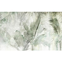 NON WOVEN-TAPET 400/250 cm  - vit/grön, Basics (400/250cm) - Komar