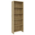 REGAL Eiche Artisan  - Eiche Artisan, Design, Holzwerkstoff (60/175/24cm) - Carryhome
