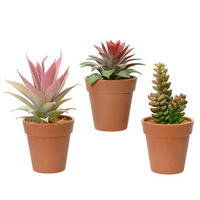 DEKORAČNÁ RASTLINA  - Basics, plast (8/16cm)