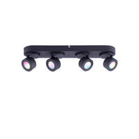 LED-REFLEKTOR  Sancho /4x300lm lm/3000-5000 K// - črna, Basics, kovina (55/12,5/11cm)