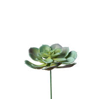 SUKKULENTE Sukkulente 9 cm  - Naturfarben/Grün, Basics, Kunststoff/Stein (9cm)