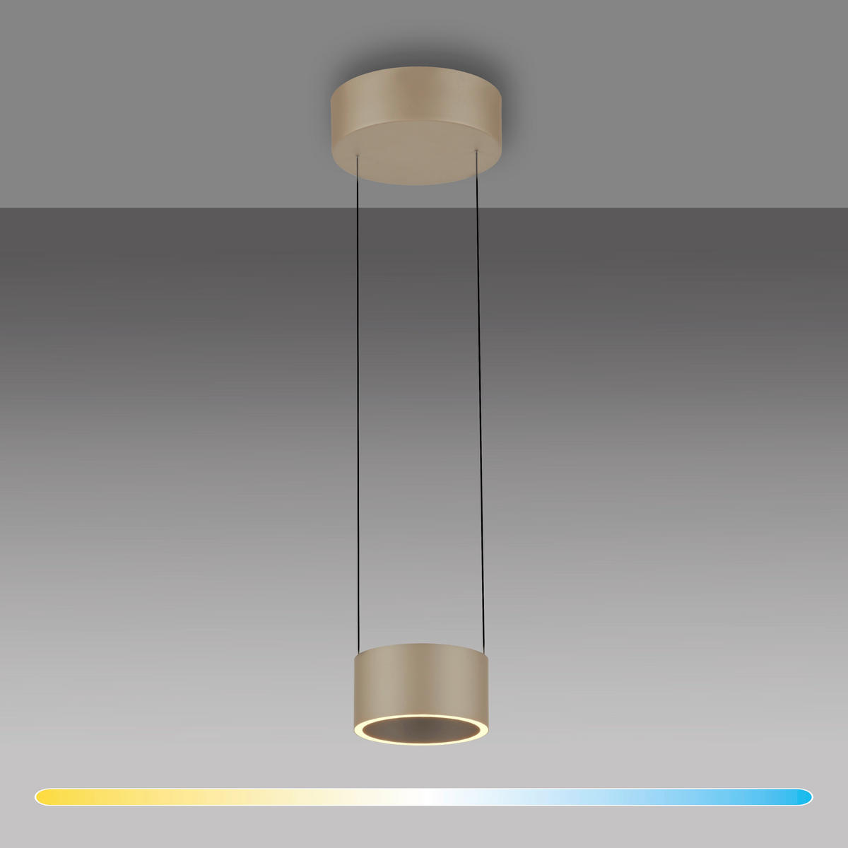 LED-HÄNGELEUCHTE 20/20/180 cm    - Bronzefarben, Basics, Kunststoff/Metall (20/20/180cm) - Paul Neuhaus