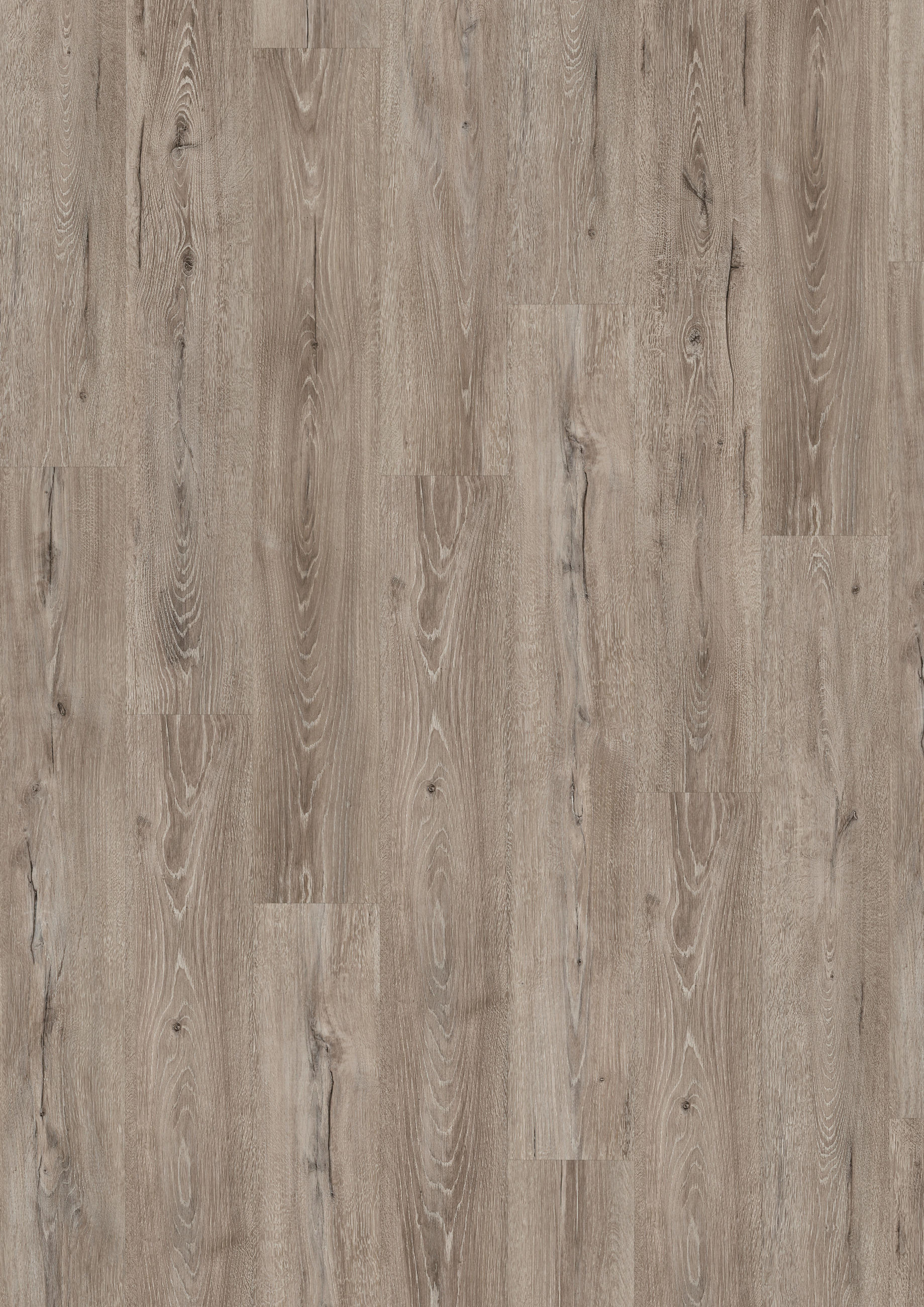 DESIGNBODEN Panora Eiche grau EGGER Aquadura  - Eichefarben/Grau, KONVENTIONELL, Holzwerkstoff (129.2/19.3/0.75cm) - Egger Holzwerkstoffe