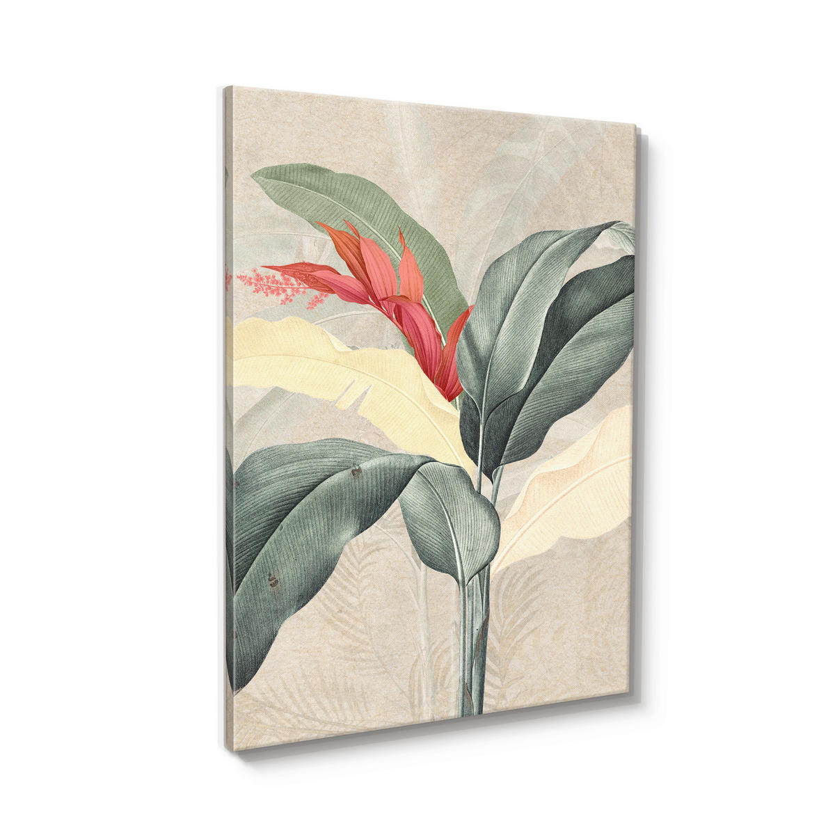 LEINWANDBILD Pflanzen 60/80 cm  - Multicolor, Basics, Holz/Textil (60/80cm)