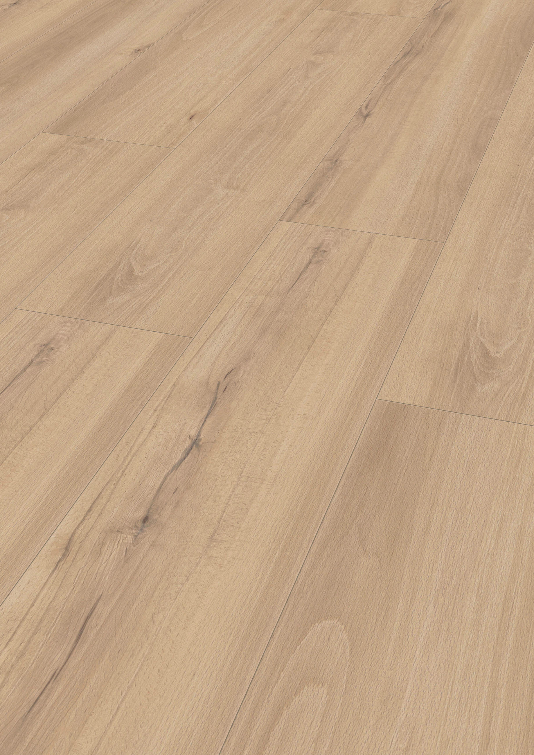 LAMINATBODEN Exquisit Plus  - Buchefarben, KONVENTIONELL, Holz (138.0/24.4/0.8cm)