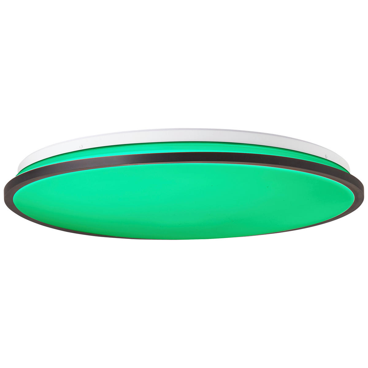 STROPNA LED-SVETILKA  Heida 30 W/3000 lm/3000-6500 K/230 V/ - črna, Basics, kovina/umetna masa (49/7,5cm)