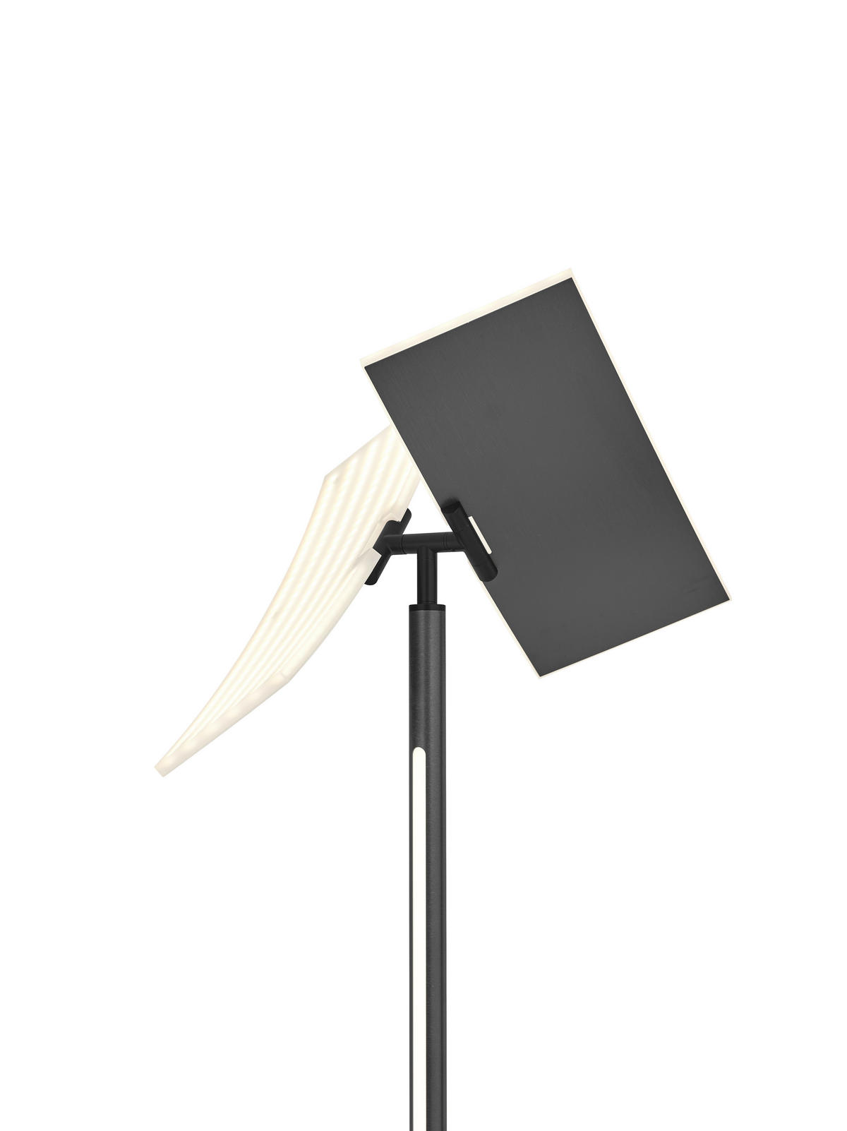 LED-STEHLEUCHTE TWICE   - Alufarben, Design, Metall (180cm) - Hell