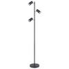 STEHLEUCHTE 25/23/154 cm    - Schwarz, Design, Metall (25/23/154cm) - Globo