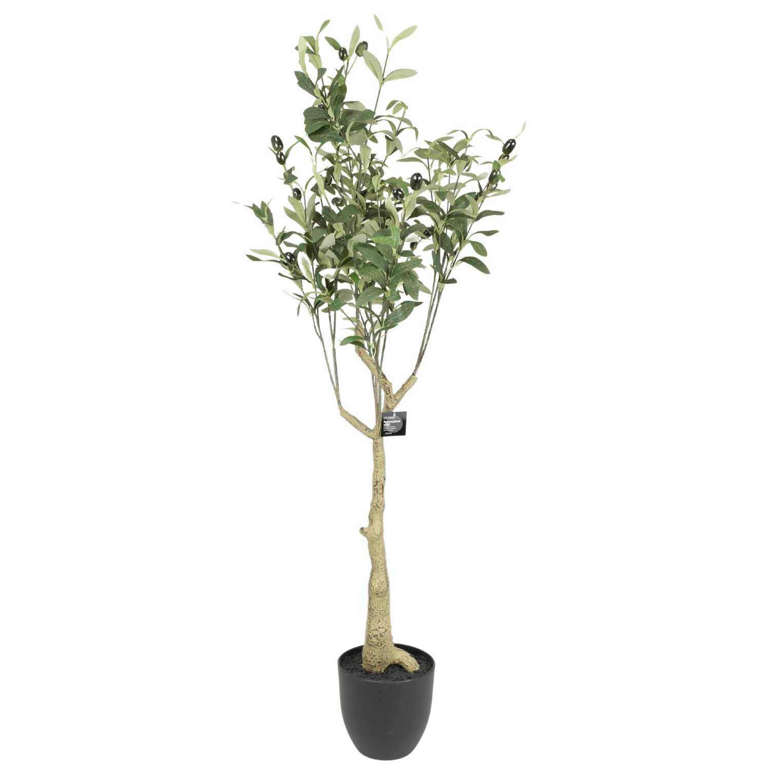 VEŠTAČKA BILJKA     30-60/30-60/120 cm         - siva/zelena, Osnovno, kamen/plastika (30-60/30-60/120cm) - Ibena