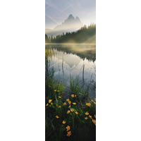 NON WOVEN-TAPET 100/280 cm  - multicolor, Basics (100/280cm) - Komar