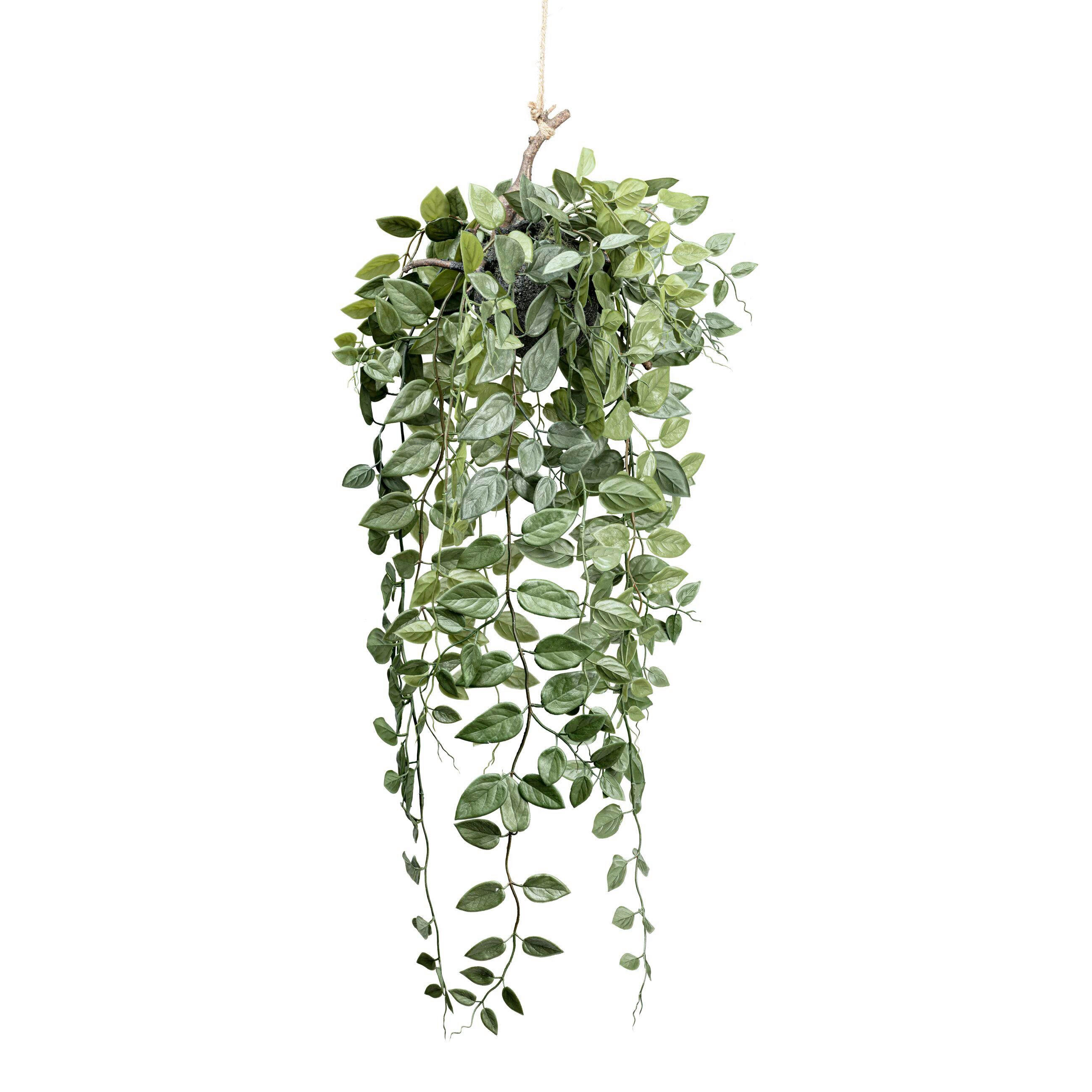 KUNSTPFLANZE 75 cm  - Grün, Basics, Kunststoff (75cm)