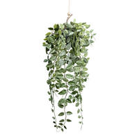 KUNSTPFLANZE 75 cm  - Grün, Basics, Kunststoff (75cm)