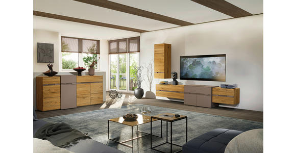 HÄNGEELEMENT Taupe, Wildeiche  60/41/40 cm  - Taupe/Wildeiche, Design, Holz/Holzwerkstoff (60/41/40cm) - Novel