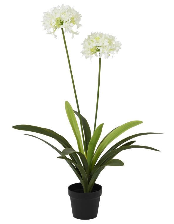 VEŠTAČKA BILJKA        80/105 cm      - Osnovno (80/105cm) - Ambia Home
