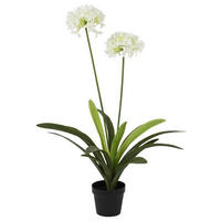 VEŠTAČKA BILJKA        80/105 cm      - Osnovno (80/105cm) - Ambia Home