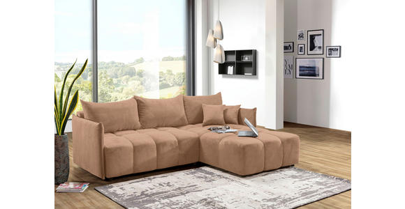 ECKSOFA Rosa Plüsch Zierkissen, Rückenkissen, Bettkasten, Schlaffunktion, Rücken echt, Liegefläche im Originalstoff  - Schwarz/Rosa, KONVENTIONELL, Kunststoff/Textil (253/192cm) - Carryhome