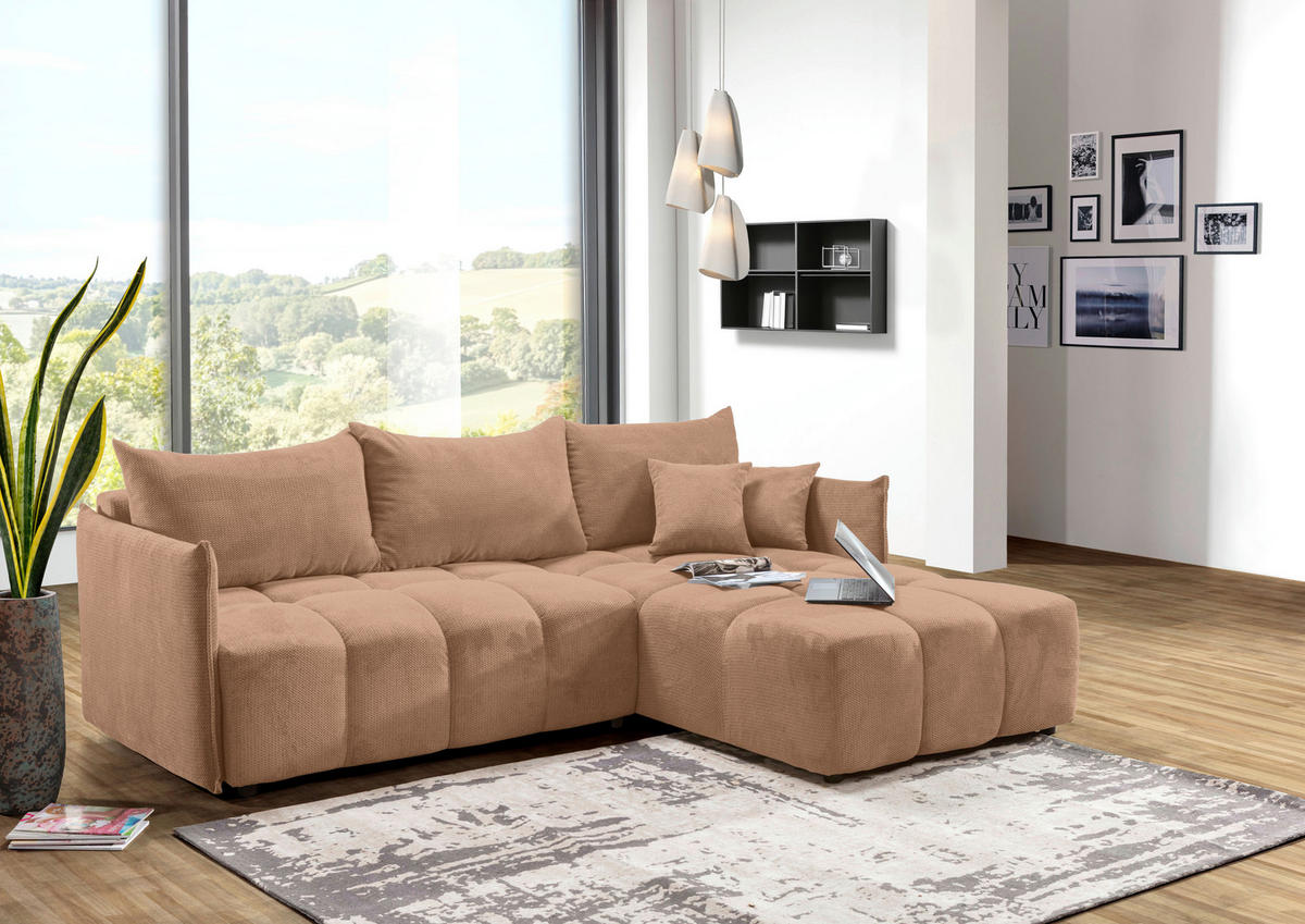 ECKSOFA Rosa Plüsch Zierkissen, Rückenkissen, Bettkasten, Schlaffunktion, Rücken echt, Liegefläche im Originalstoff  - Schwarz/Rosa, KONVENTIONELL, Kunststoff/Textil (253/192cm) - Carryhome