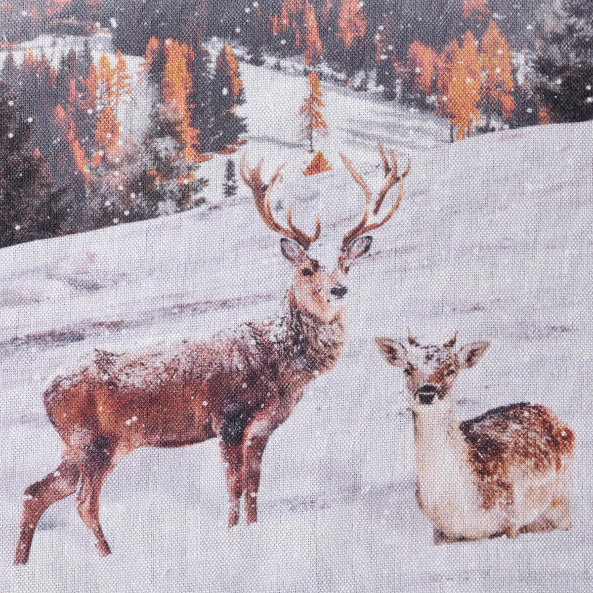 HUSĂ DE PERNĂ 45/45 cm    - multicolor, Konventionell, textil (45/45cm) - X-Mas