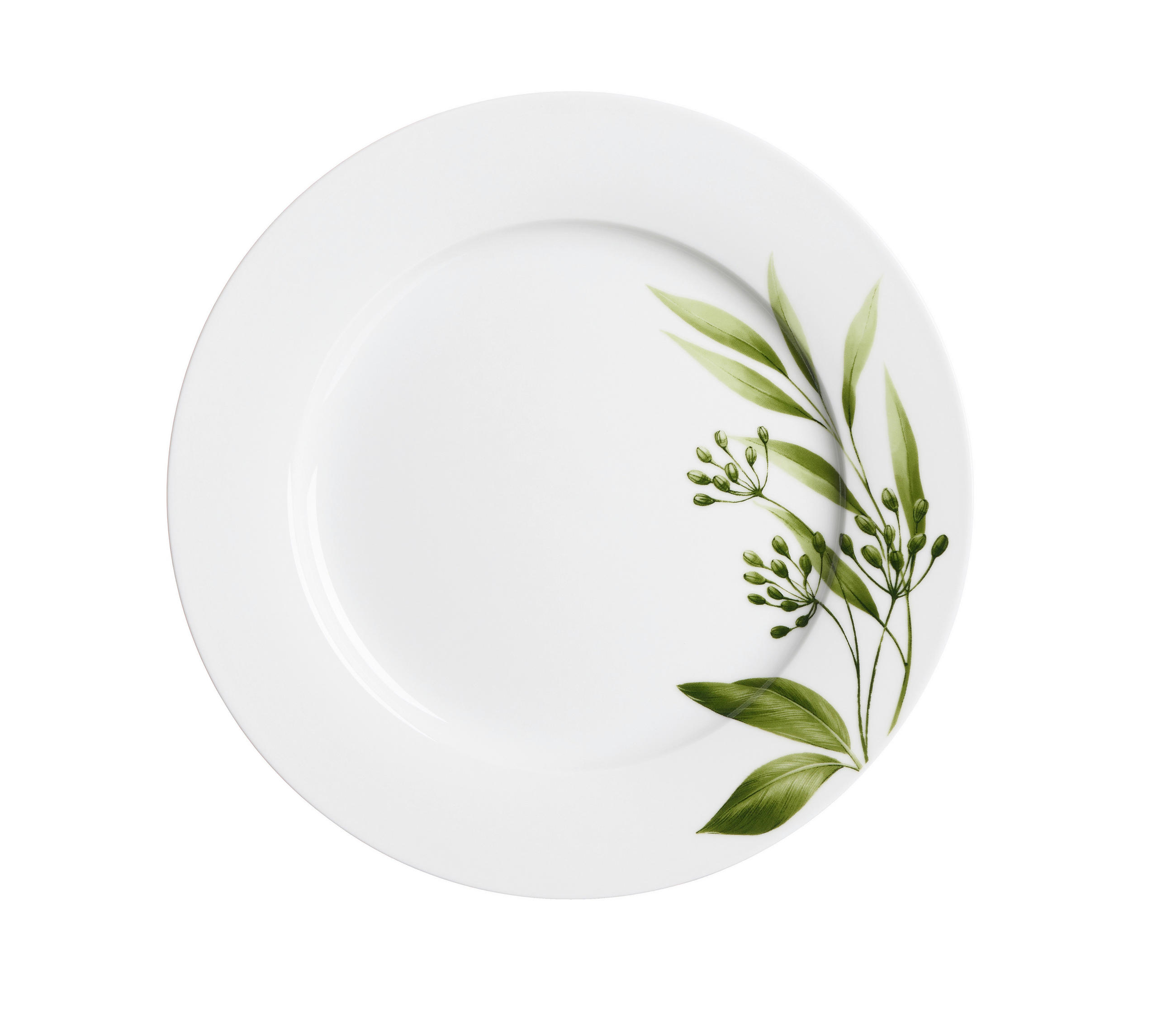 LAPOSTÁNYÉR 24 cm  - fehér/zöld, Konventionell, kerámia (24cm) - Ritzenhoff Breker