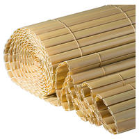 SICHTSCHUTZ - Beige, Basics, Kunststoff (300/150cm)