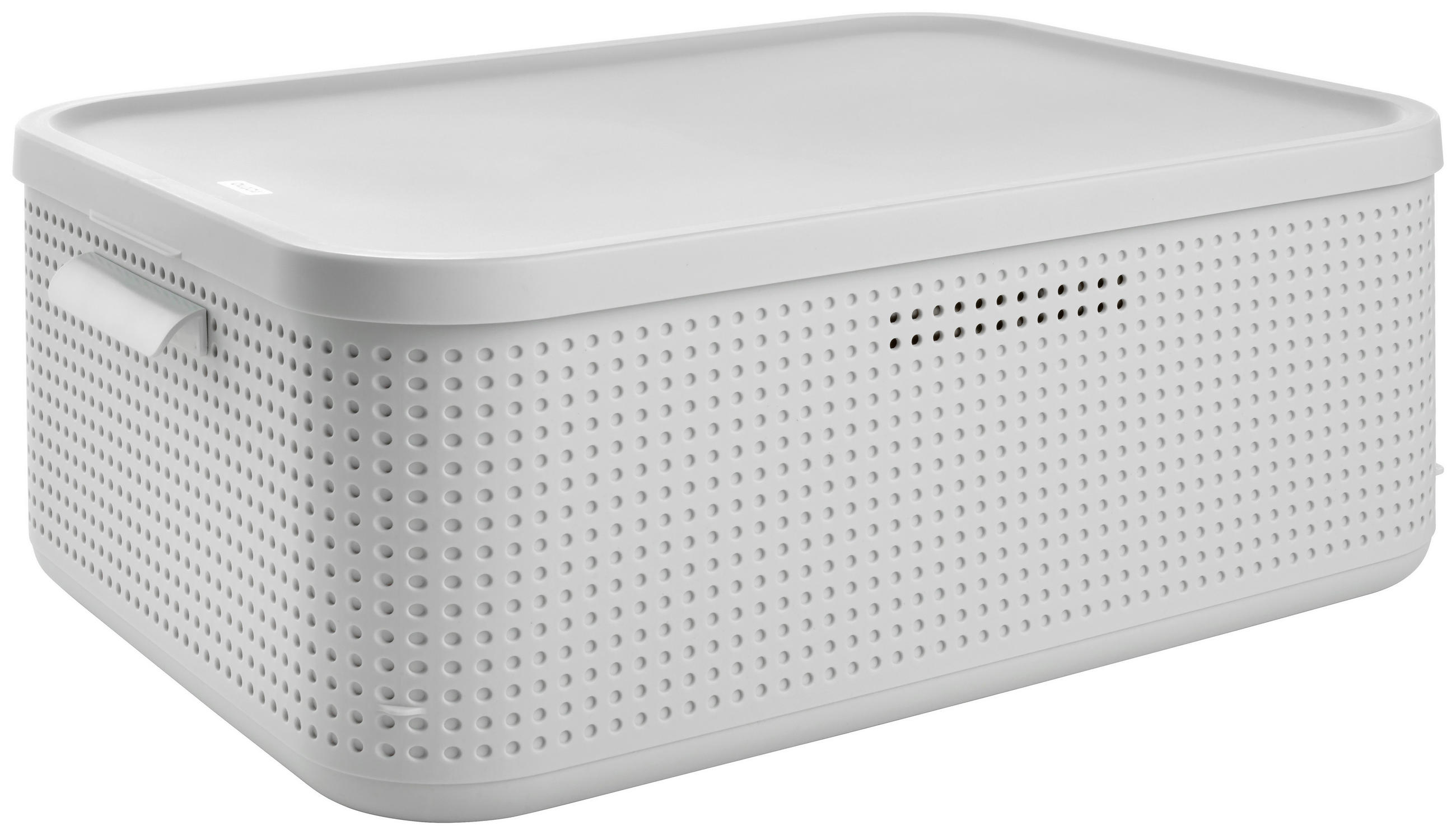 BOX MIT DECKEL     - Weiß, Basics, Kunststoff (35,6/18/50cm) - Rotho