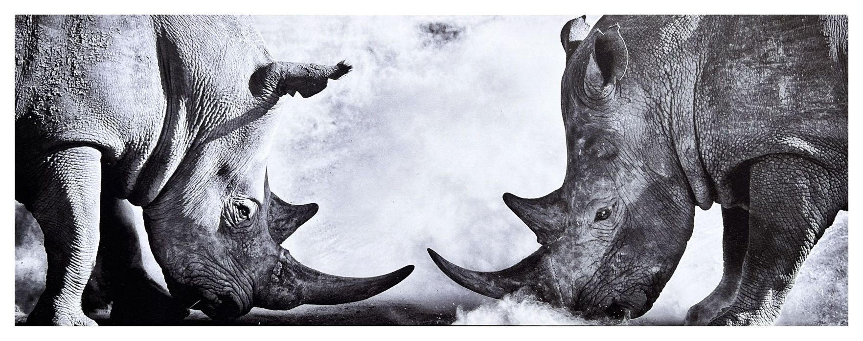 Keilrahmenbild Nicola