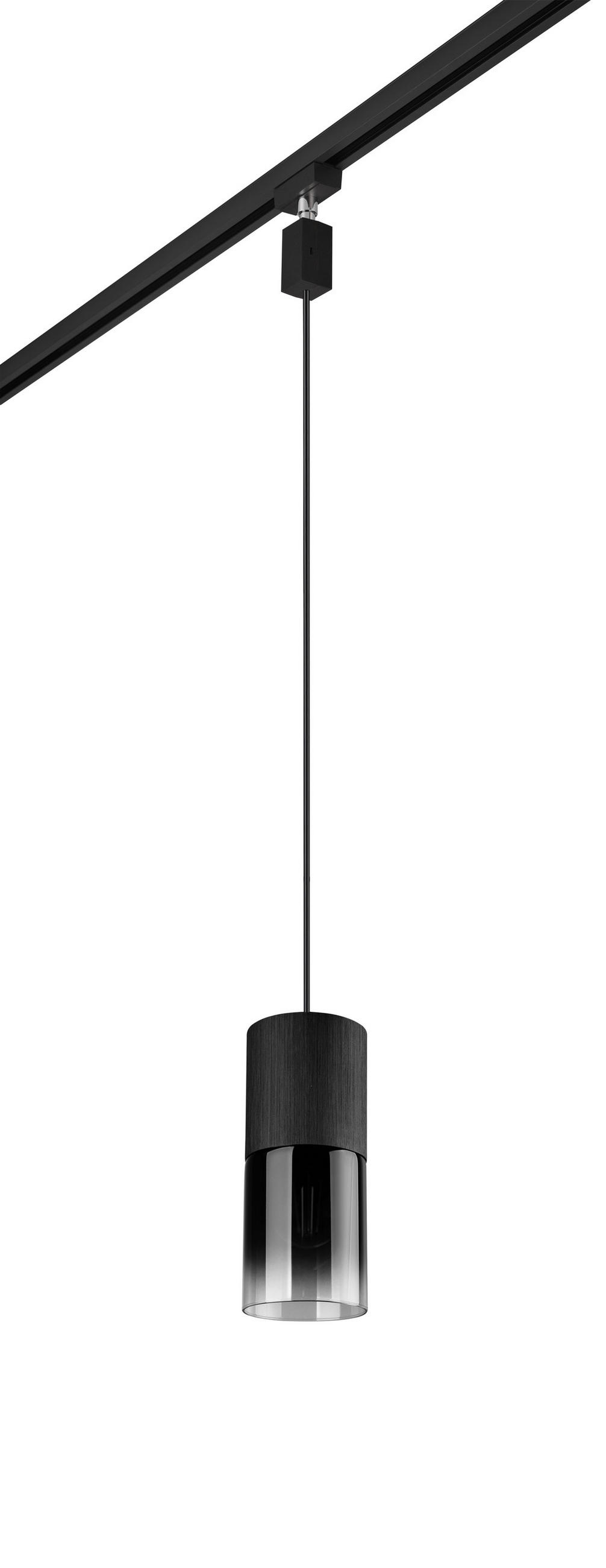 Trio Leuchten Schienensystem-Hängeleuchte Duoline Robin Grau, Schwarz 180 cm