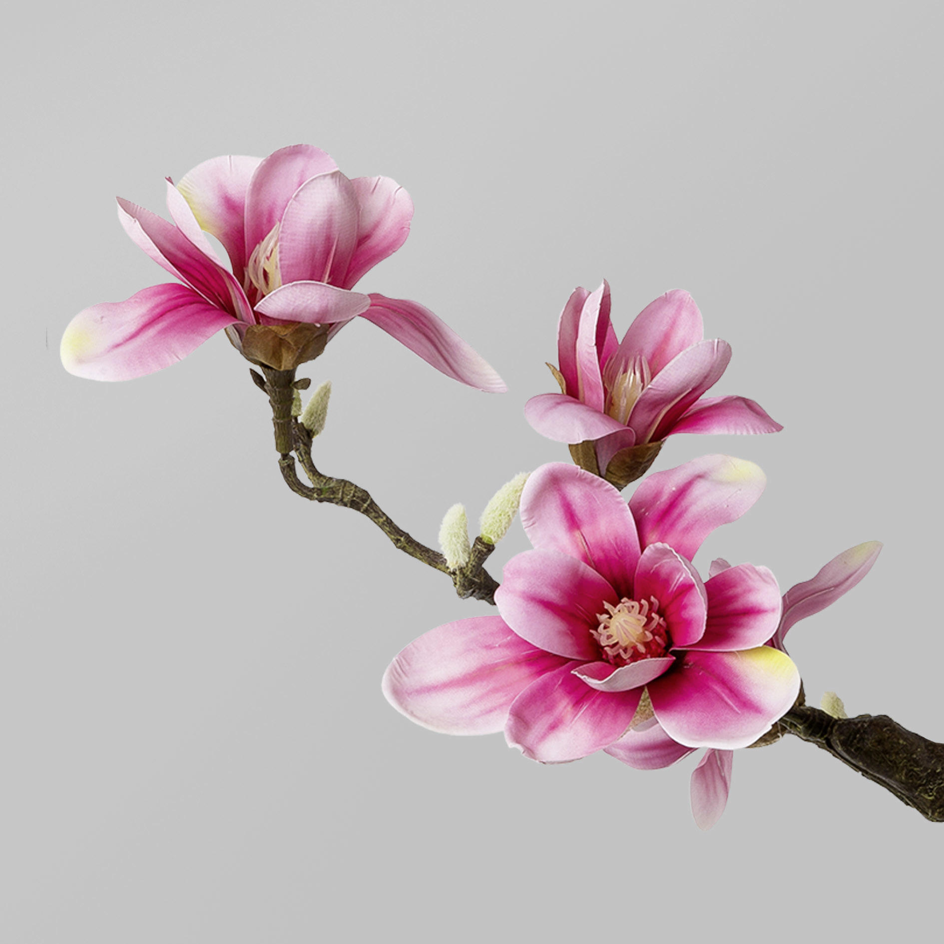 KUNSTPFLANZE Magnolie  - Pink/Schwarz, Trend, Kunststoff (71cm)