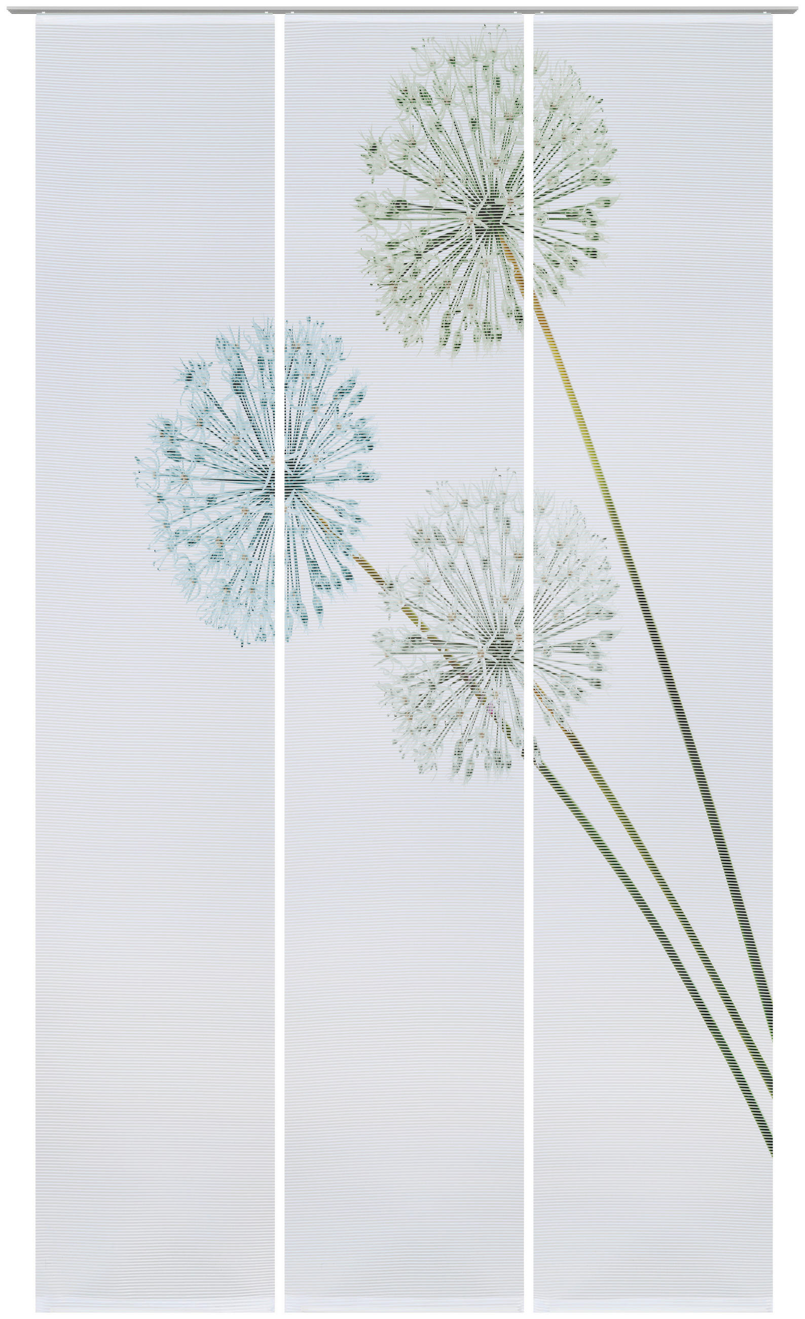 FLÄCHENVORHANG in Grün halbtransparent  - Grün, Design, Textil (60/255cm) - Novel