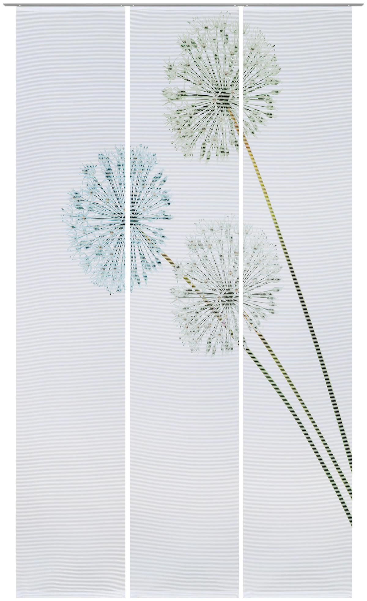 FLÄCHENVORHANG in Grün halbtransparent  - Grün, Design, Textil (60/255cm) - Novel