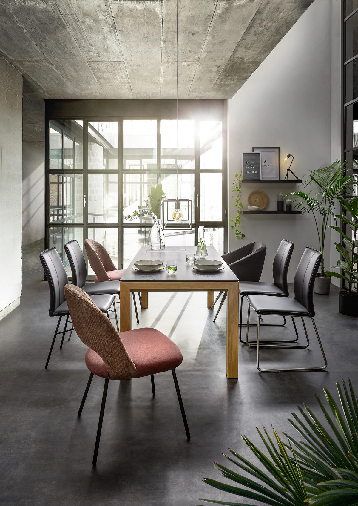 ESSTISCH Graphitfarben, Eichefarben rechteckig  ausziehbar, in verschiedenen Größen erhältlich, in verschiedenen Holzarten erhältlich, Variantenauswahl  - Eichefarben/Graphitfarben, Design, Holz/Kunststoff (180-280/90/75cm) - Dieter Knoll