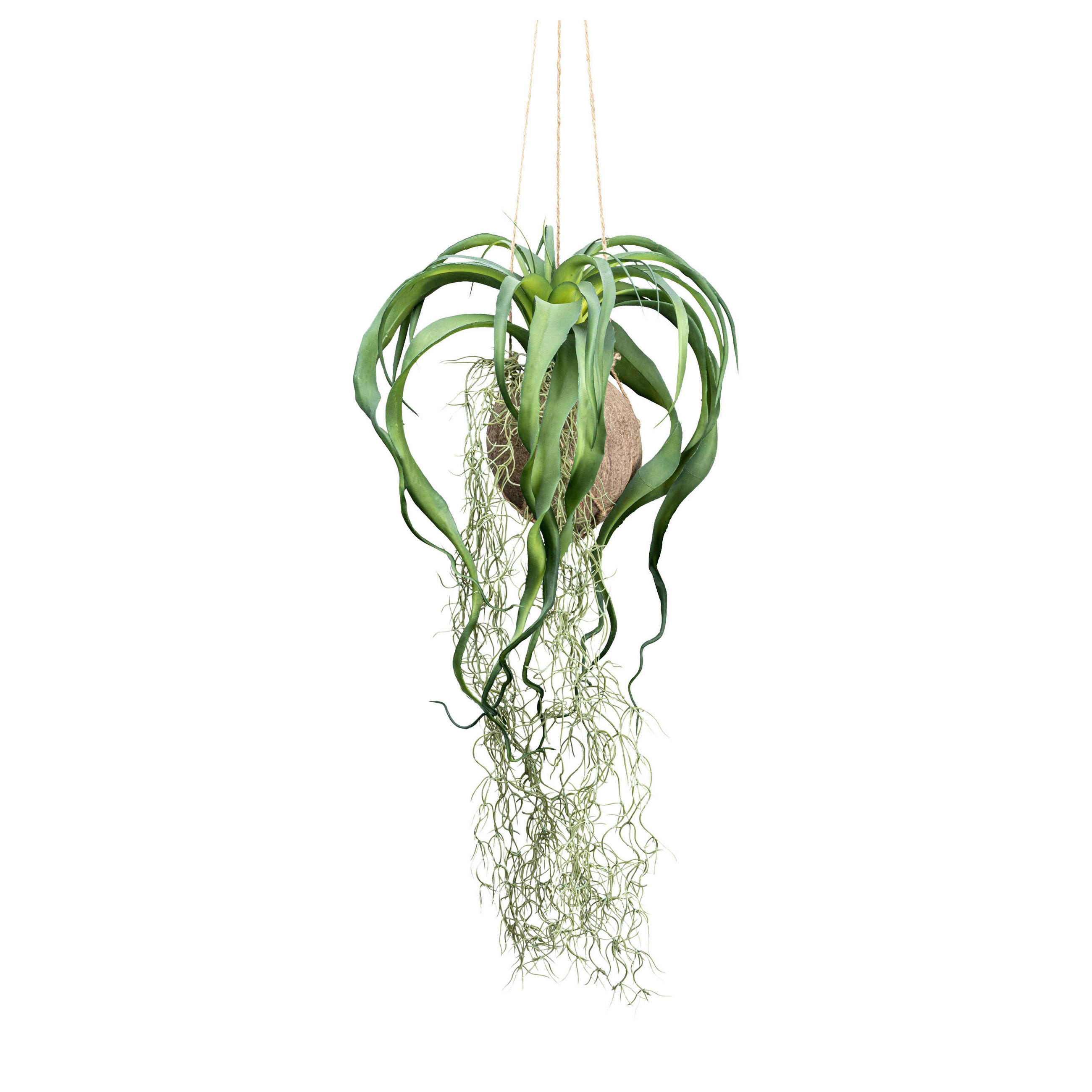 KUNSTPFLANZE 63 cm  - Grün, Design, Naturmaterialien/Kunststoff (63cm) - P & B