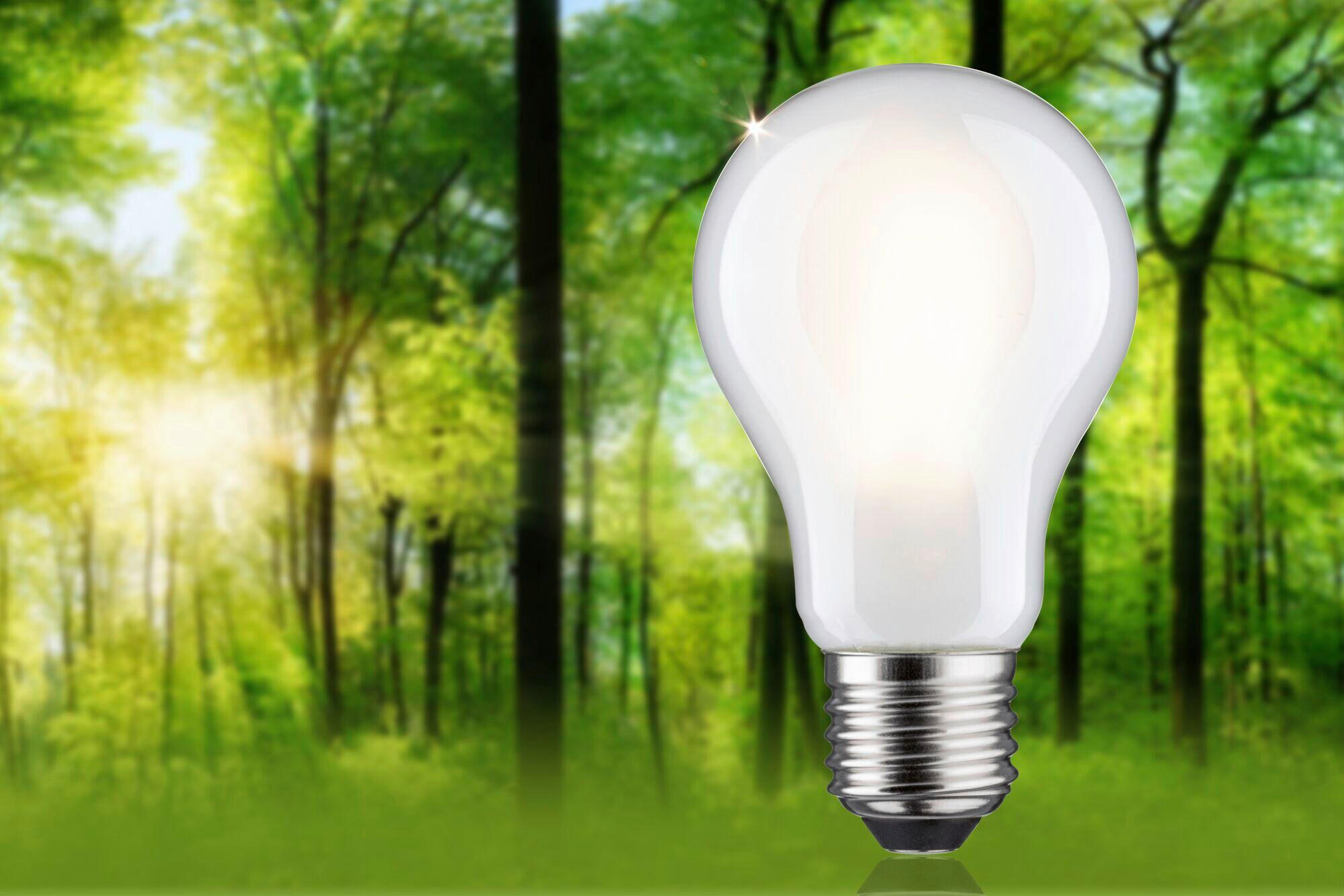 ENERGIESPAR-LEUCHTMITTEL - Transparent, Basics, Glas (6,0/10,5cm) - Paulmann